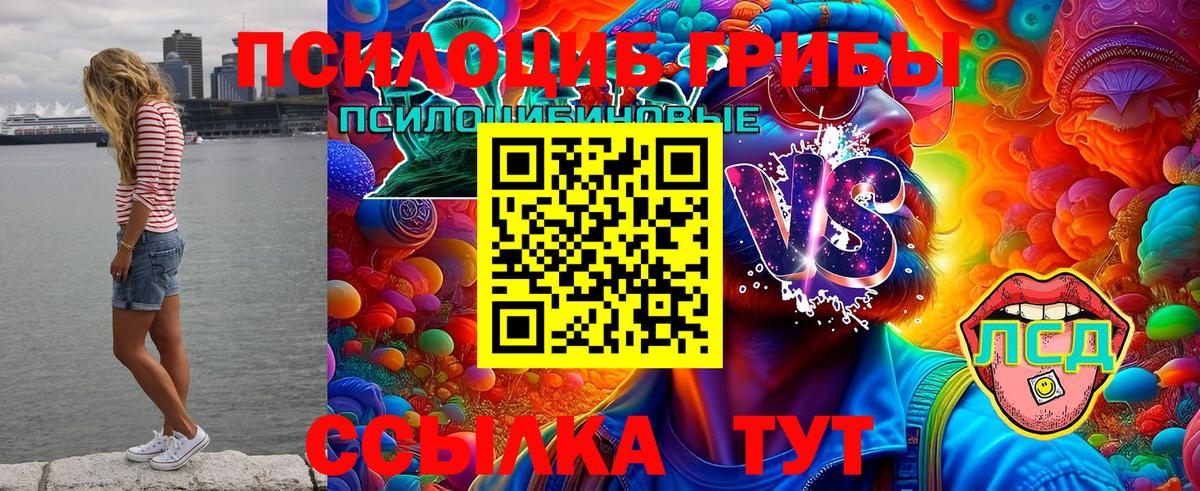 Галлюциногенные грибы MAGIC MUSHROOMS Чернушка