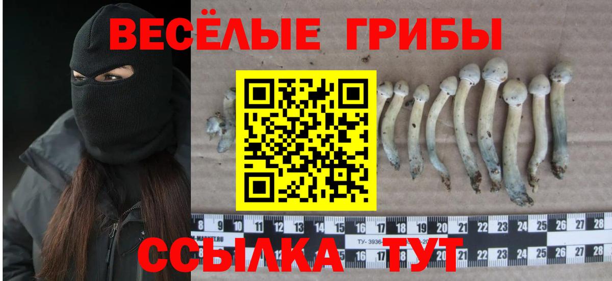 Чернушка  Галлюциногенные грибы MAGIC MUSHROOMS  Галлюциногенные грибы мухоморы  сколько стоит  Вход с VPN 